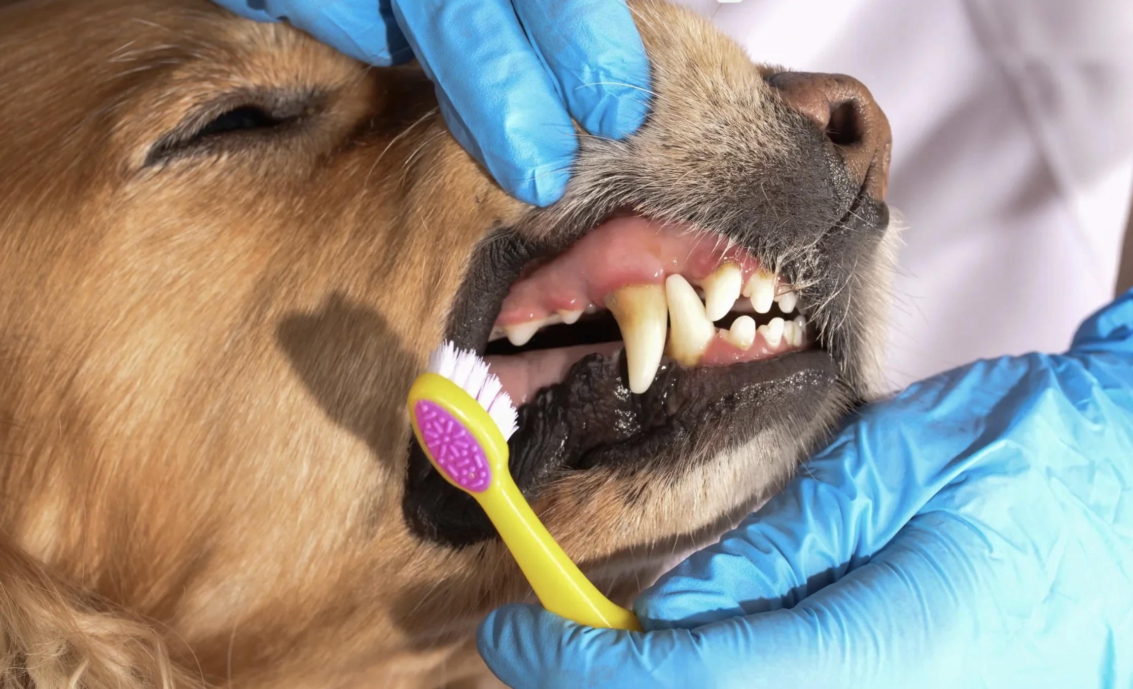 Screenshot 2024-12-24 at 16.46.03.jpg