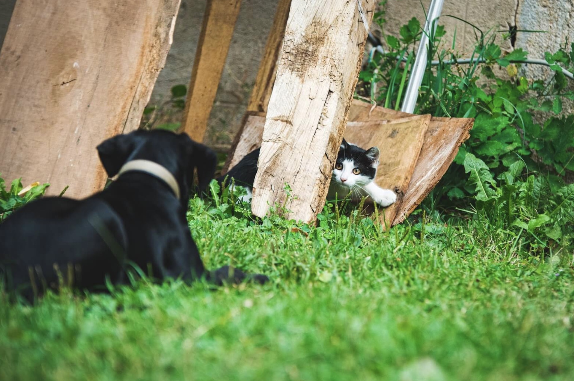 Screenshot 2024-12-24 at 16.52.42.jpg